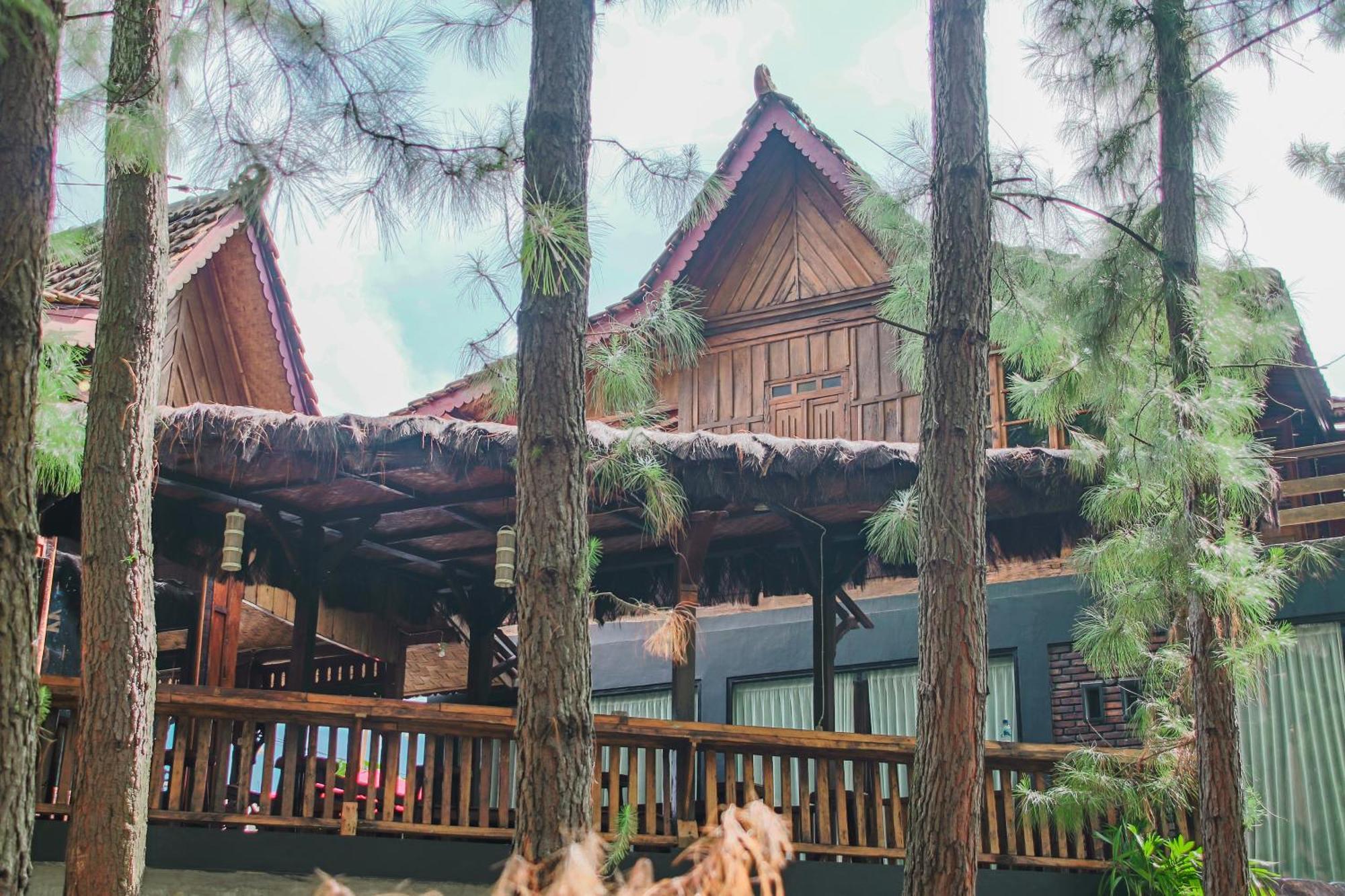 Vila Omah Kayu Bromo Ngadisari Exteriér fotografie