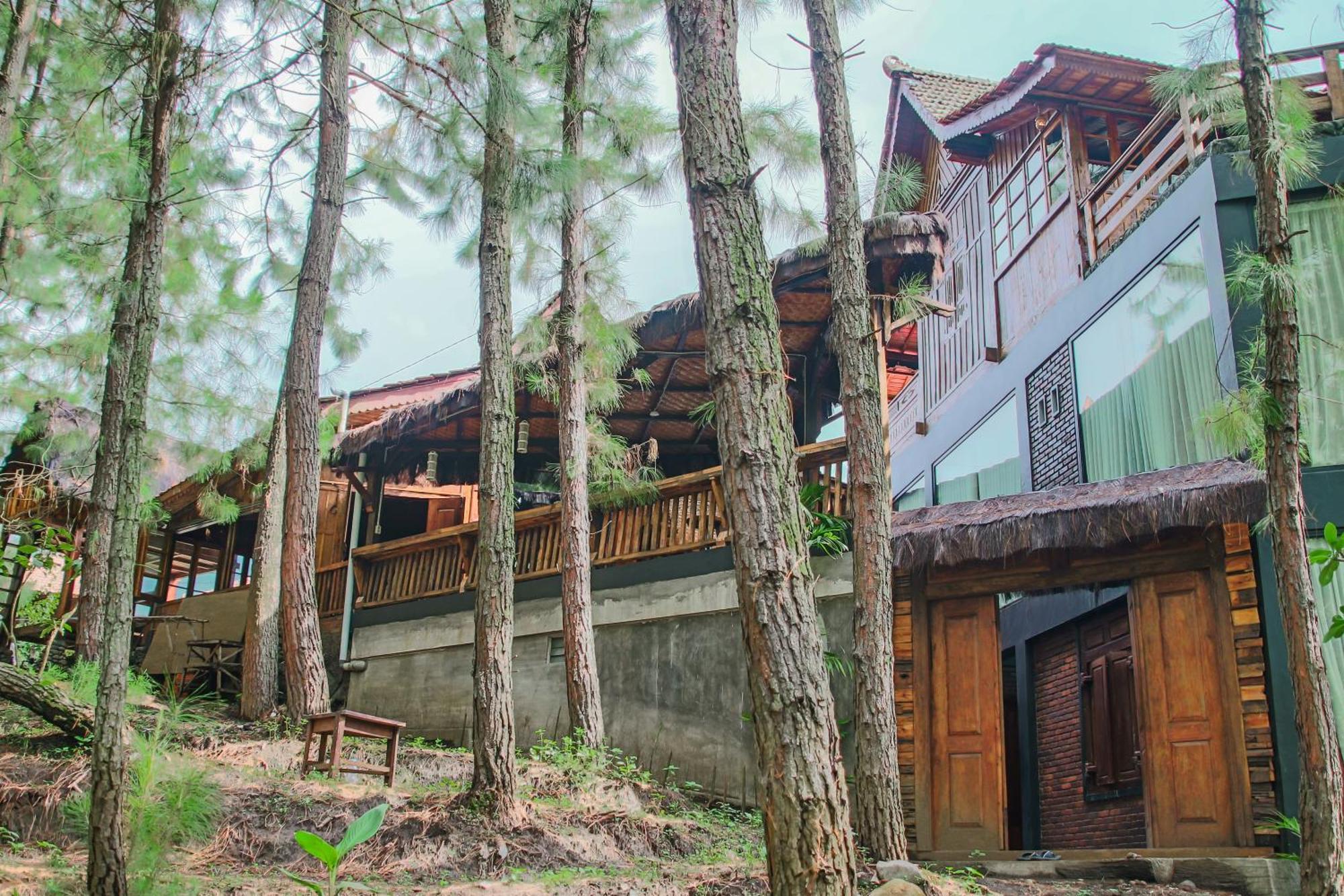 Vila Omah Kayu Bromo Ngadisari Exteriér fotografie