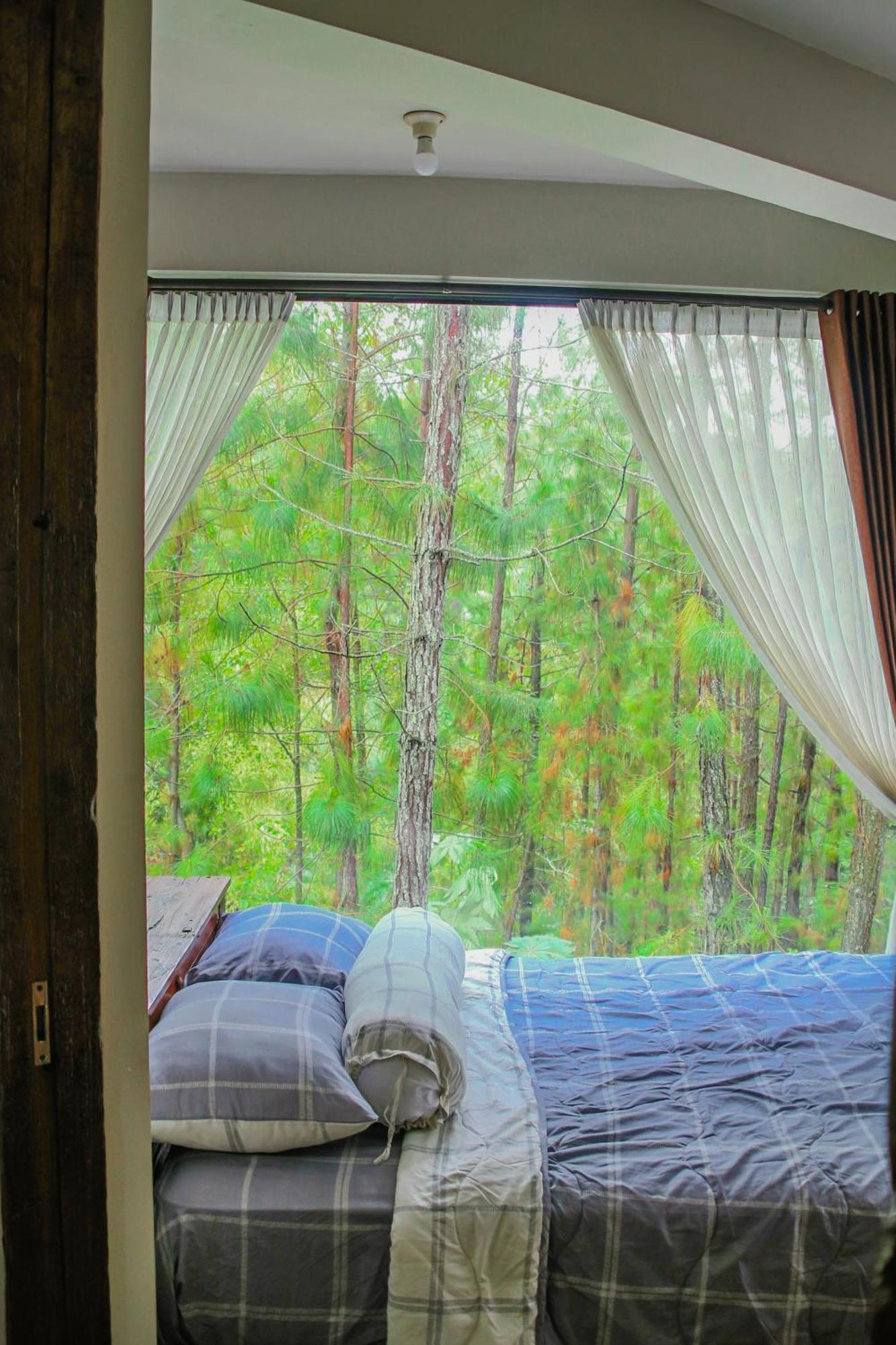 Vila Omah Kayu Bromo Ngadisari Exteriér fotografie